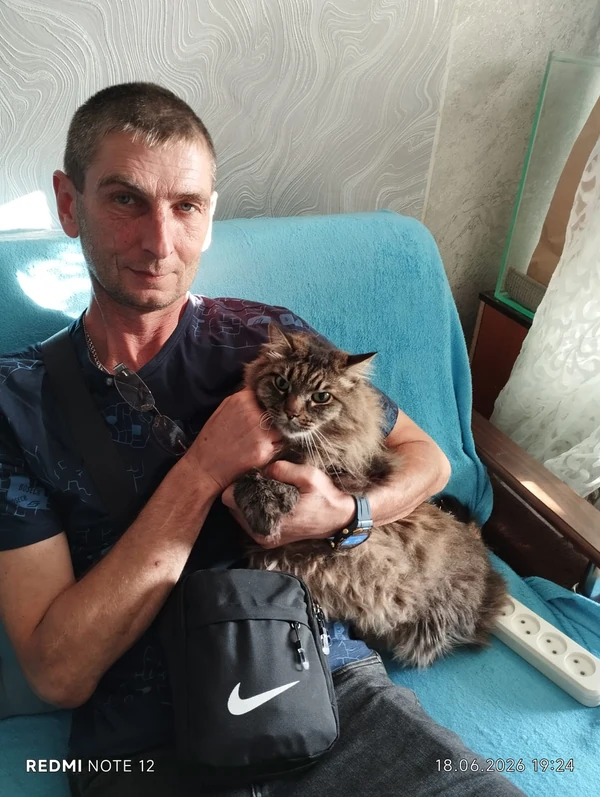 Муж: исходное фото с котом